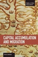 Dennis C Canterbury - Capital Accumulation And Migration, Häftad