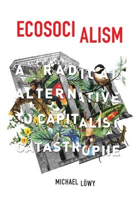 Michael Lowy, Michael Löwy - Ecosocialism, Häftad