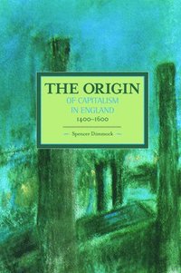 bokomslag Origin Of Capitalism In England 1400 - 1600 The