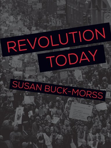Susan Buck-Morss - Revolution Today, Inbunden