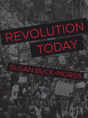 Susan Buck-Morss - Revolution Today, Inbunden