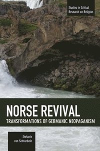 bokomslag Norse Revival