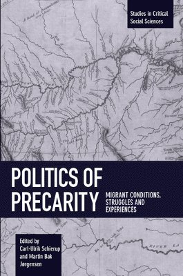 bokomslag Politics Of Precarity