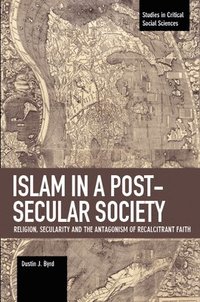 bokomslag Islam in a Post-Secular Society