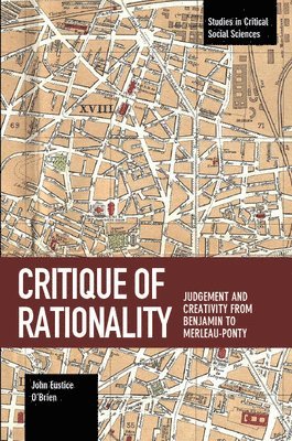 Critique Of Rationality 1