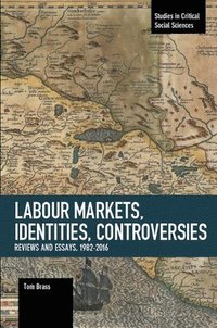 bokomslag Labour Markets, Identities, Controversies