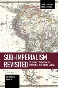 bokomslag Sub-imperalism Revisited