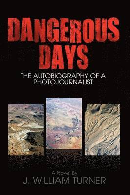 bokomslag Dangerous Days