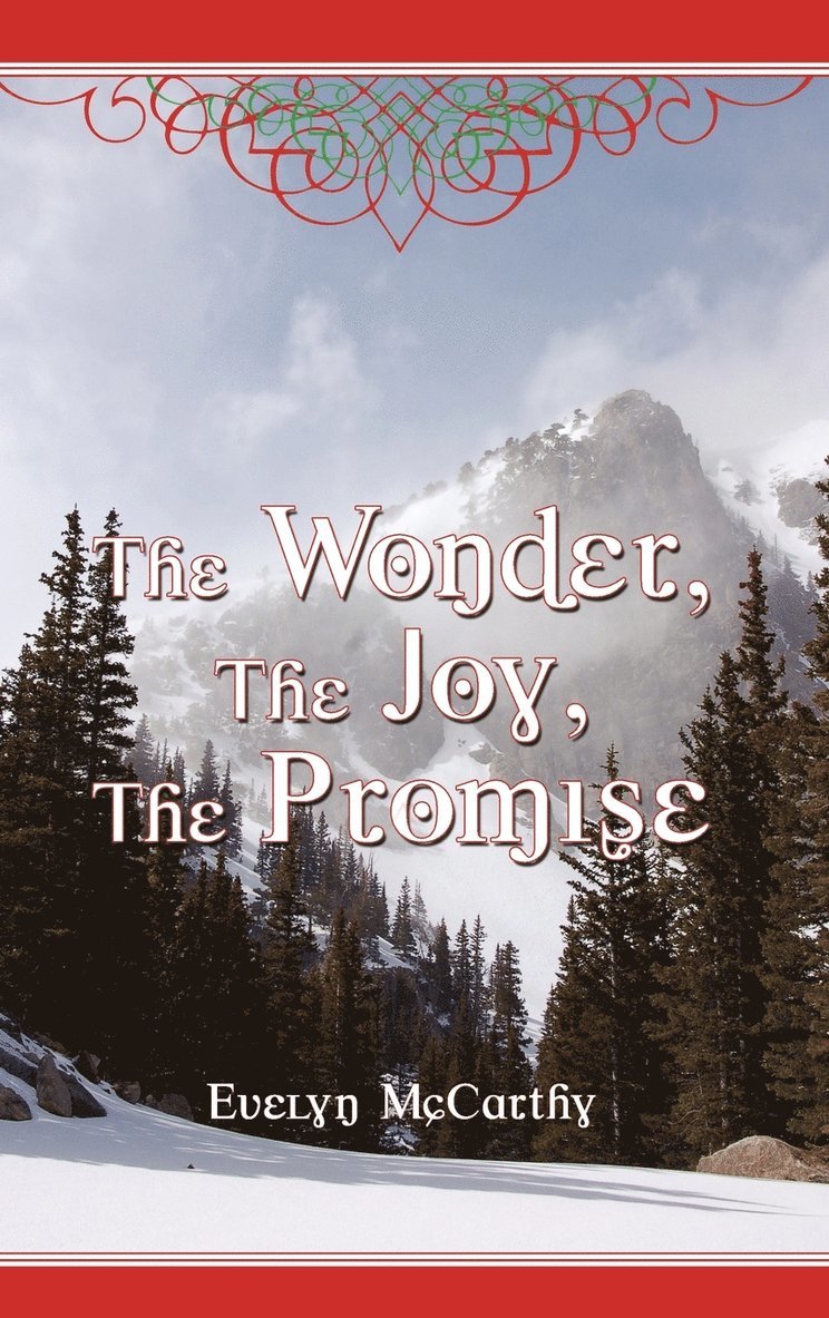 The Wonder, the Joy, the Promise Stories for Christmas 1