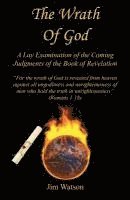 bokomslag The Wrath of God - A Lay Examination of the Coming Judgments of the Book of Revelation