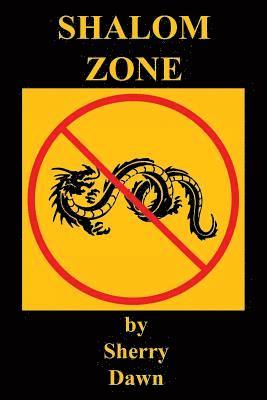 bokomslag Shalom Zone