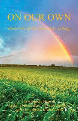 Elizabeth Haswell - On Our Own - Book One of the Twin Oaks Trilogy, Häftad
