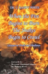 bokomslag When the Fire Begins to Burn the Snakes Begin to Crawl