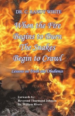 When the Fire Begins to Burn the Snakes Begin to Crawl 1