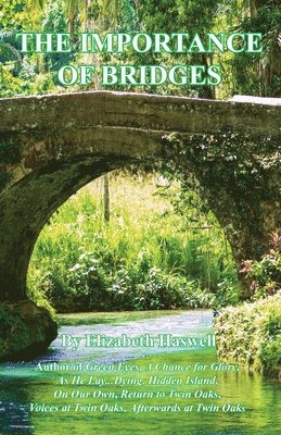 Elizabeth Haswell - The Importance of Bridges, Häftad