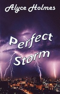 bokomslag Perfect Storm