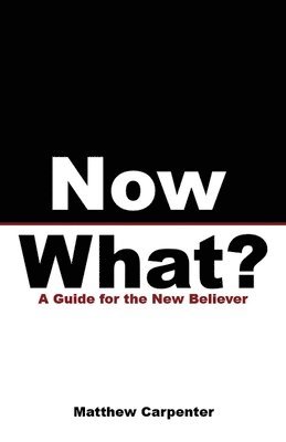 bokomslag Now What? - A Guide for the New Believer