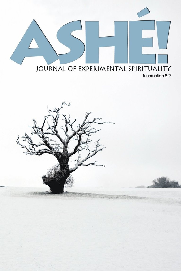 Sven Davisson - Ash Journal of Experimental Spirituality 8.2, Häftad