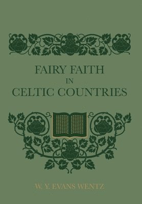 bokomslag Fairy Faith In Celtic Countries