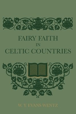 bokomslag Fairy Faith In Celtic Countries