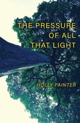 bokomslag Pressure of All That Light