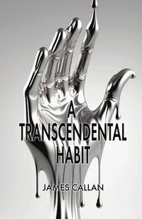 bokomslag Transcendental Habit