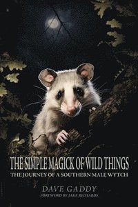 bokomslag Simple Magick of Wild Things