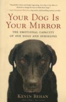 bokomslag Your Dog Is Your Mirror