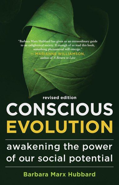 bokomslag Conscious Evolution