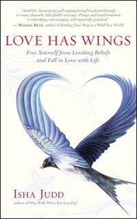 bokomslag Love Has Wings