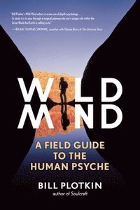 bokomslag Mapping the Wild Mind