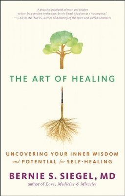 bokomslag The Art of Healing