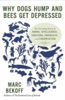 Marc Bekoff - Why Dogs Hump and Bees Get Depressed, Häftad
