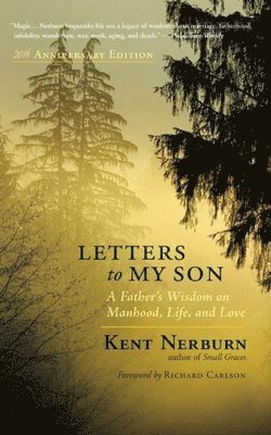 Kent Nerburn - Letters to My Son, Häftad