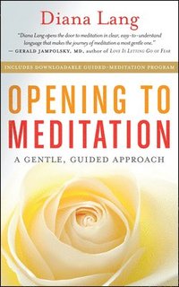 bokomslag Opening to Meditation