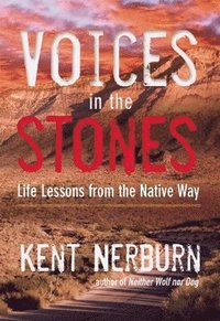 bokomslag Voices in the Stones