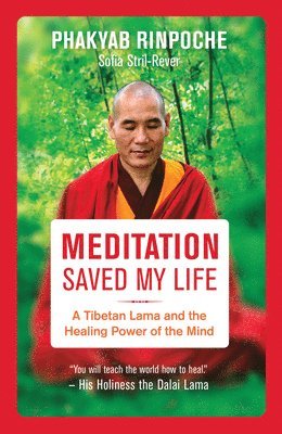 bokomslag Meditation Saved My Life