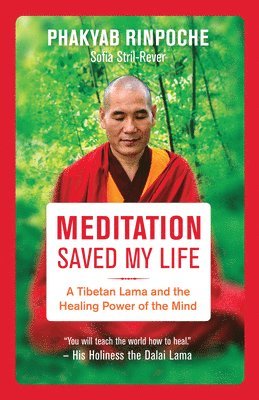Phakyab Rinpoche, Sofia Stril-Rever - Meditation Saved My Life, Häftad
