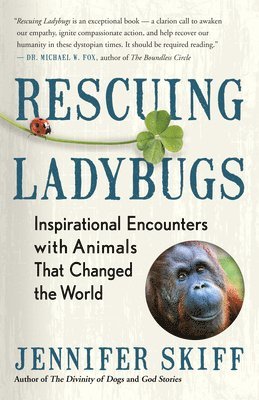 Rescuing Ladybugs 1