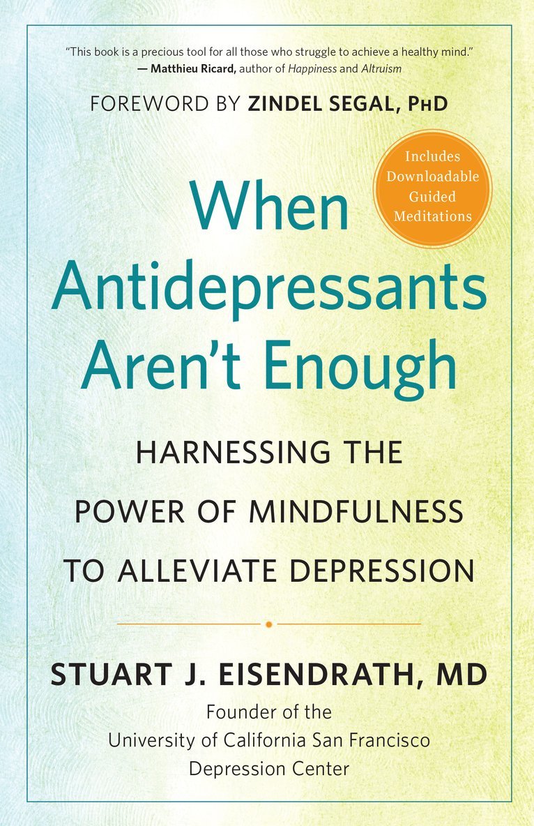 Stuart J. Eisendrath, Zindel Segal, Stuart J Eisendrath - When Antidepressants Aren't Enough, Häftad