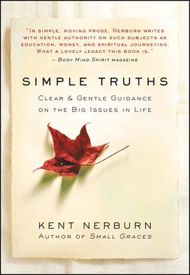 bokomslag Simple Truths: Clear & Gentle Guidance on the Big Issues in Life