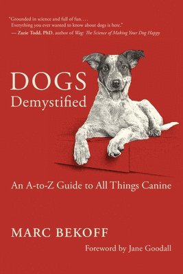 bokomslag Dogs Demystified