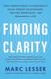 bokomslag Finding Clarity