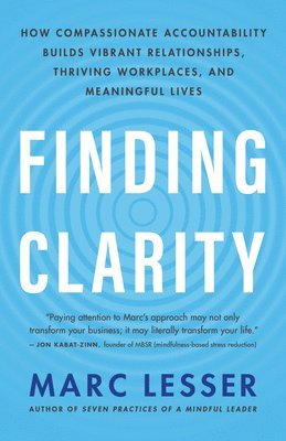 bokomslag Finding Clarity