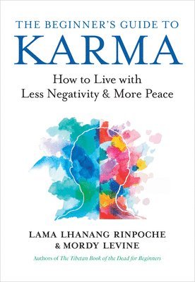 bokomslag Beginner's Guide to Karma
