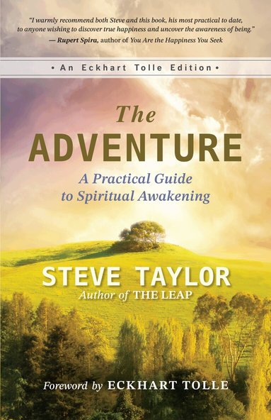 Steve Taylor - Adventure, Häftad