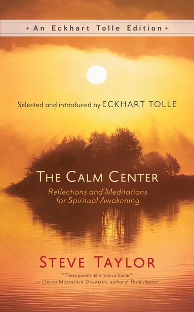 Steve Taylor - Calm Center, Häftad