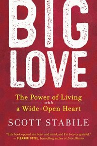 bokomslag Big Love: The Power of Living with a Wide-Open Heart