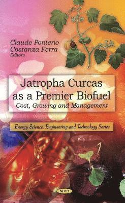 bokomslag Jatropha Curcas as a Premier Biofuel