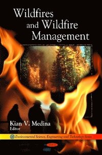 bokomslag Wildfires & Wildfire Management